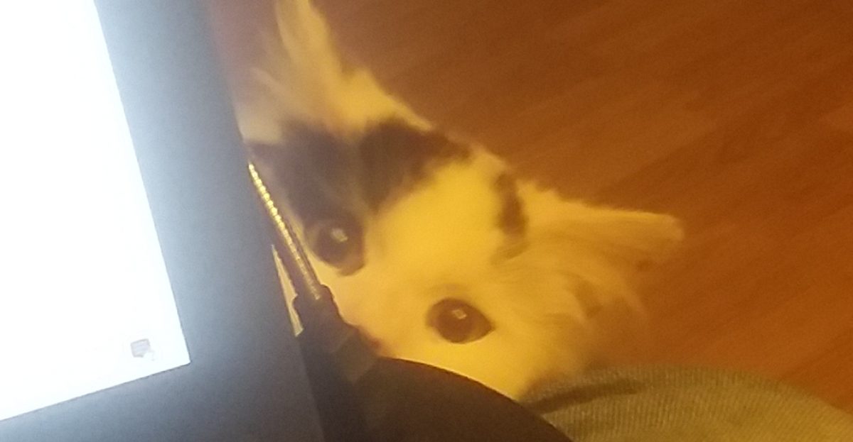 G L Hooks- Writer of fiction